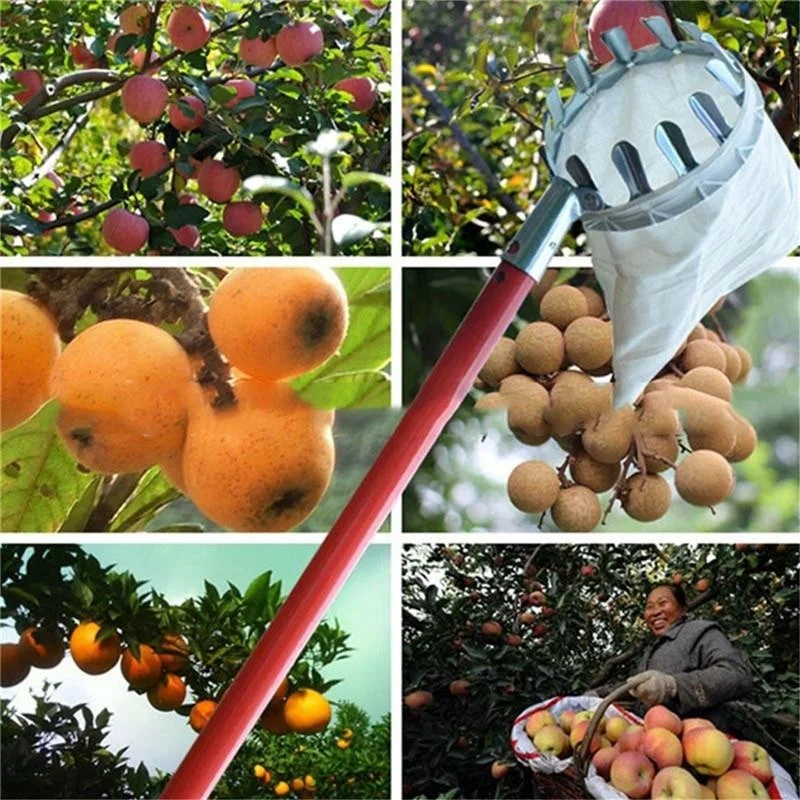 Grow Bags - Boerderij Fruitplukker Tuin Boomgaard Perzik Appel