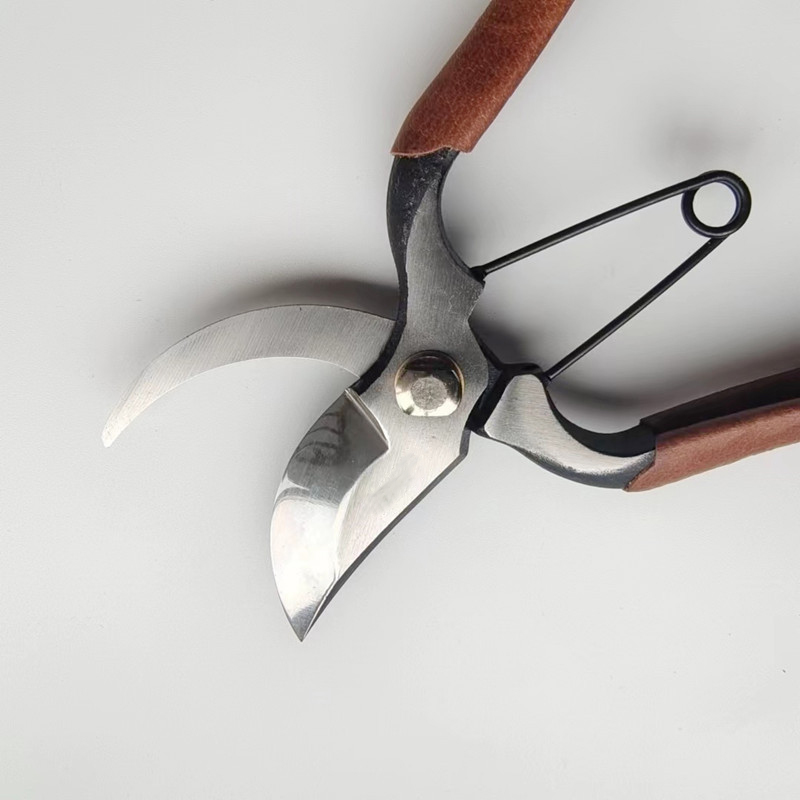 Draagbare Snoeischaar Tuin Pro - Gardening Tools Japanese recensie en prijs