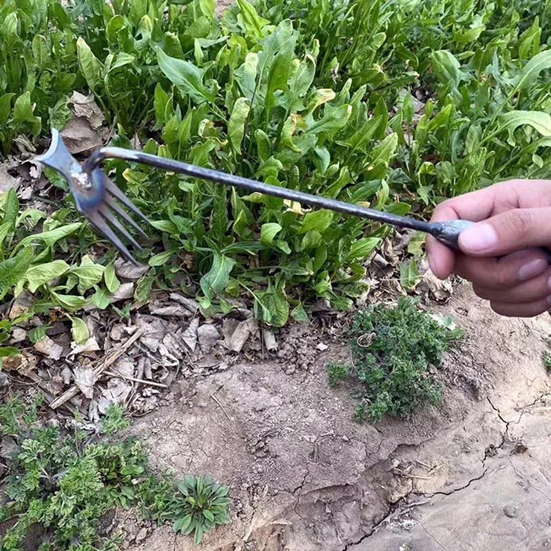 Tuinonkruidverwijderaar, hando - Gardening Tools To Remove Weeds recensie en prijs