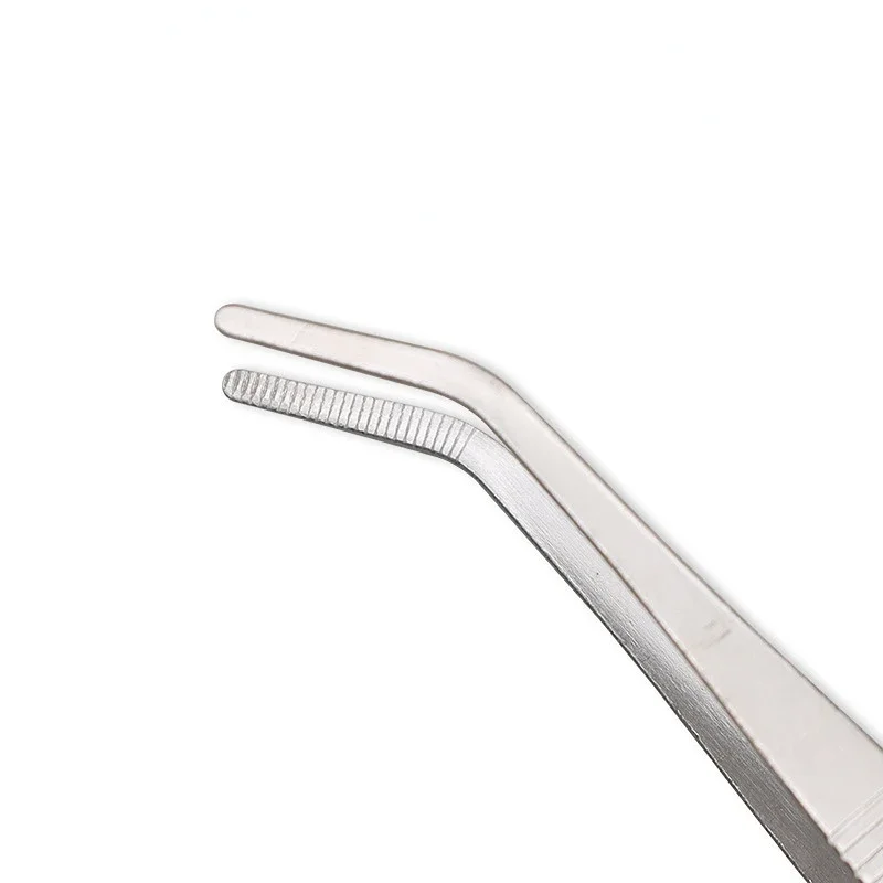 Roestvrij Staal Dikker Voedsel - Gardening Tools Long recensie en prijs