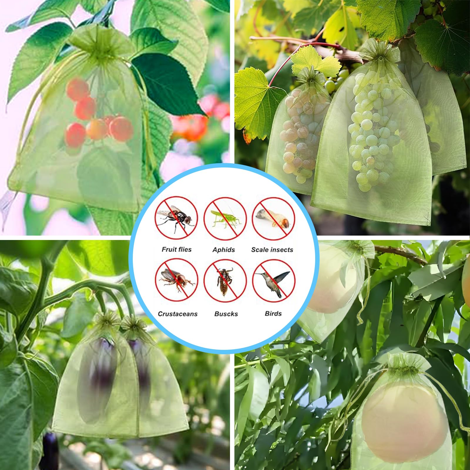 Effectieve anti-vogelnetten, f - Grow Bags recensie en prijs