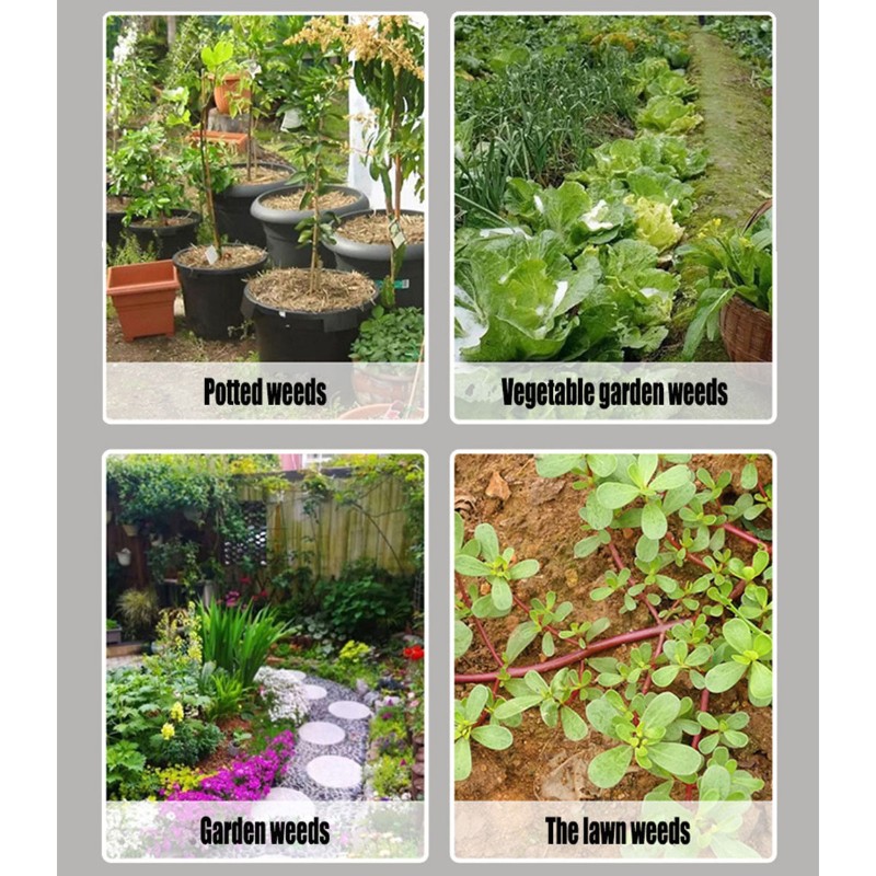 N96R Staande onkruidverwijdera - Gardening Tools To Remove Weeds recensie en prijs
