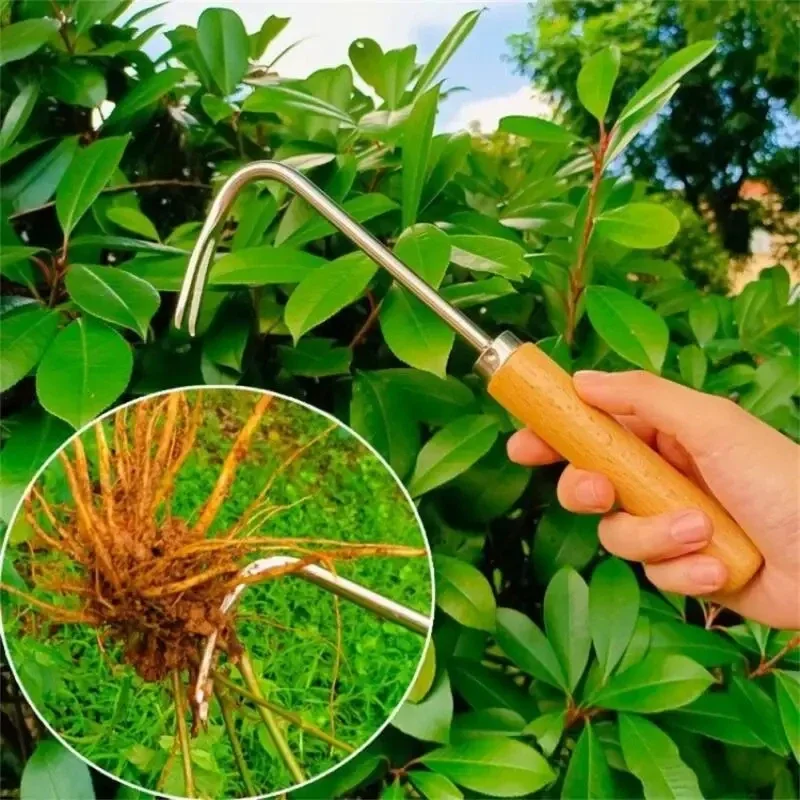 Roestvrij staal tuinieren wied - Gardening Tools To Remove Weeds recensie en prijs