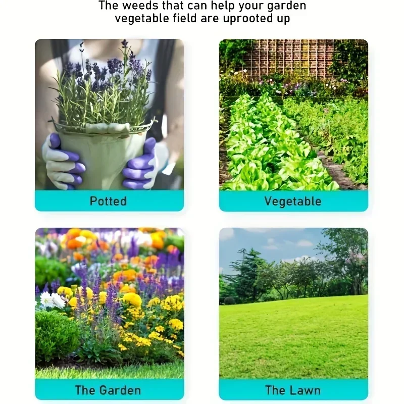 Zwart Wieden Hoofd Vervanging  - Gardening Tools To Remove Weeds recensie en prijs