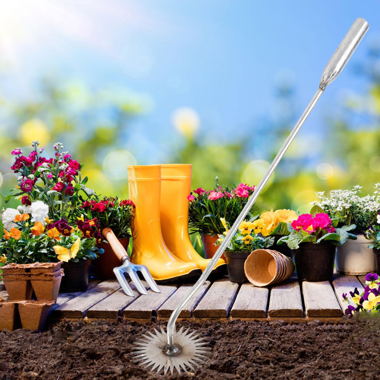 Onkruidverwijderingsgereedscha - Gardening Tools To Remove Grass recensie en prijs