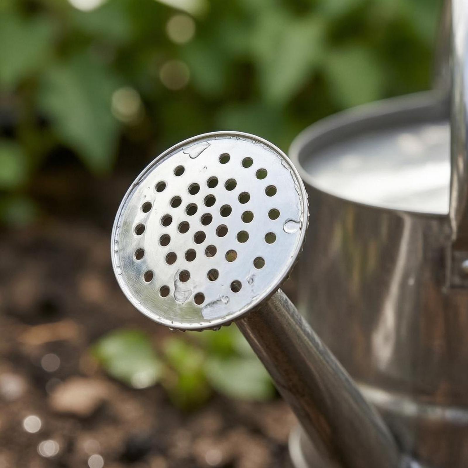 Tuinbloemen gieter van roestvr - Gardening Tools Long recensie en prijs