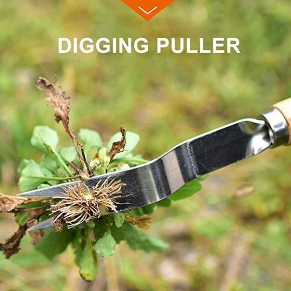 1 Stuks Hout Handvat Roestvrij - Gardening Tools To Remove Weeds recensie en prijs
