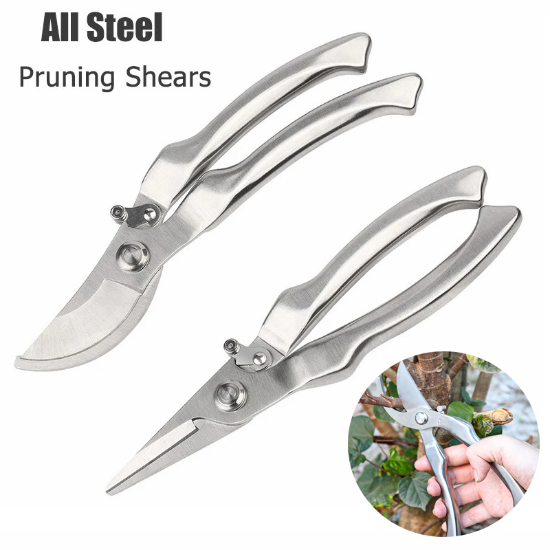 Volledig roestvrijstalen profe - Gardening Tools Japanese recensie en prijs