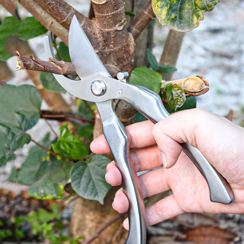 Volledig roestvrijstalen profe - Gardening Tools Japanese recensie en prijs