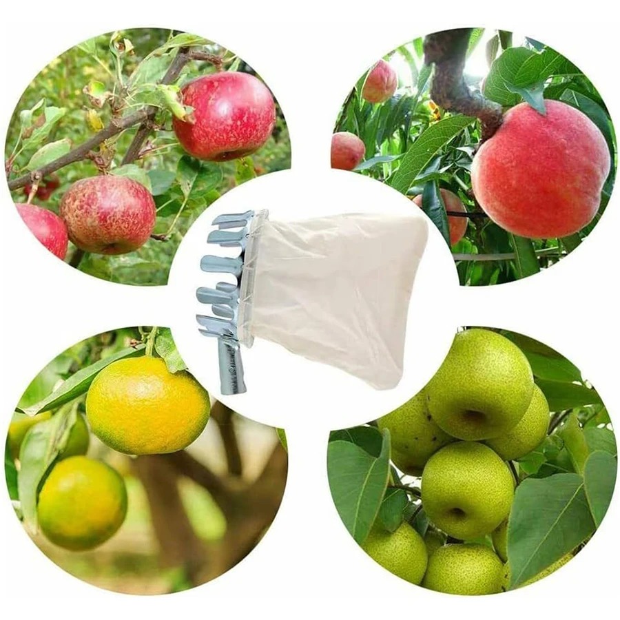 Professioneel bessenplukker-ge - Gardening Tools Organizer recensie en prijs