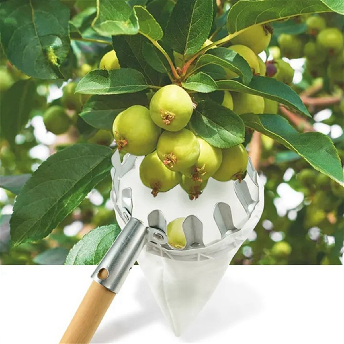【Uitverkoop】Metalen fruitplukk - Gardening Tools For Sale recensie en prijs