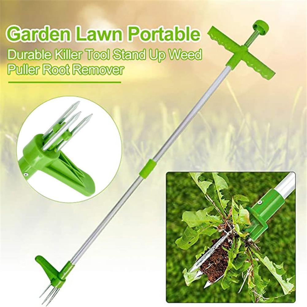 Onkruidverwijderaar met lange  - Gardening Tools To Remove Grass recensie en prijs