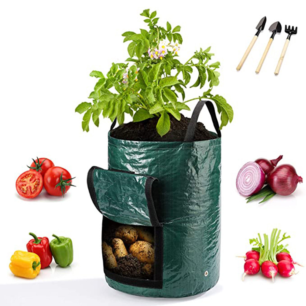 1pc 10-Gallon kweekzakken voor - Grow Bags recensie en prijs